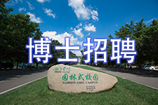 博士招聘